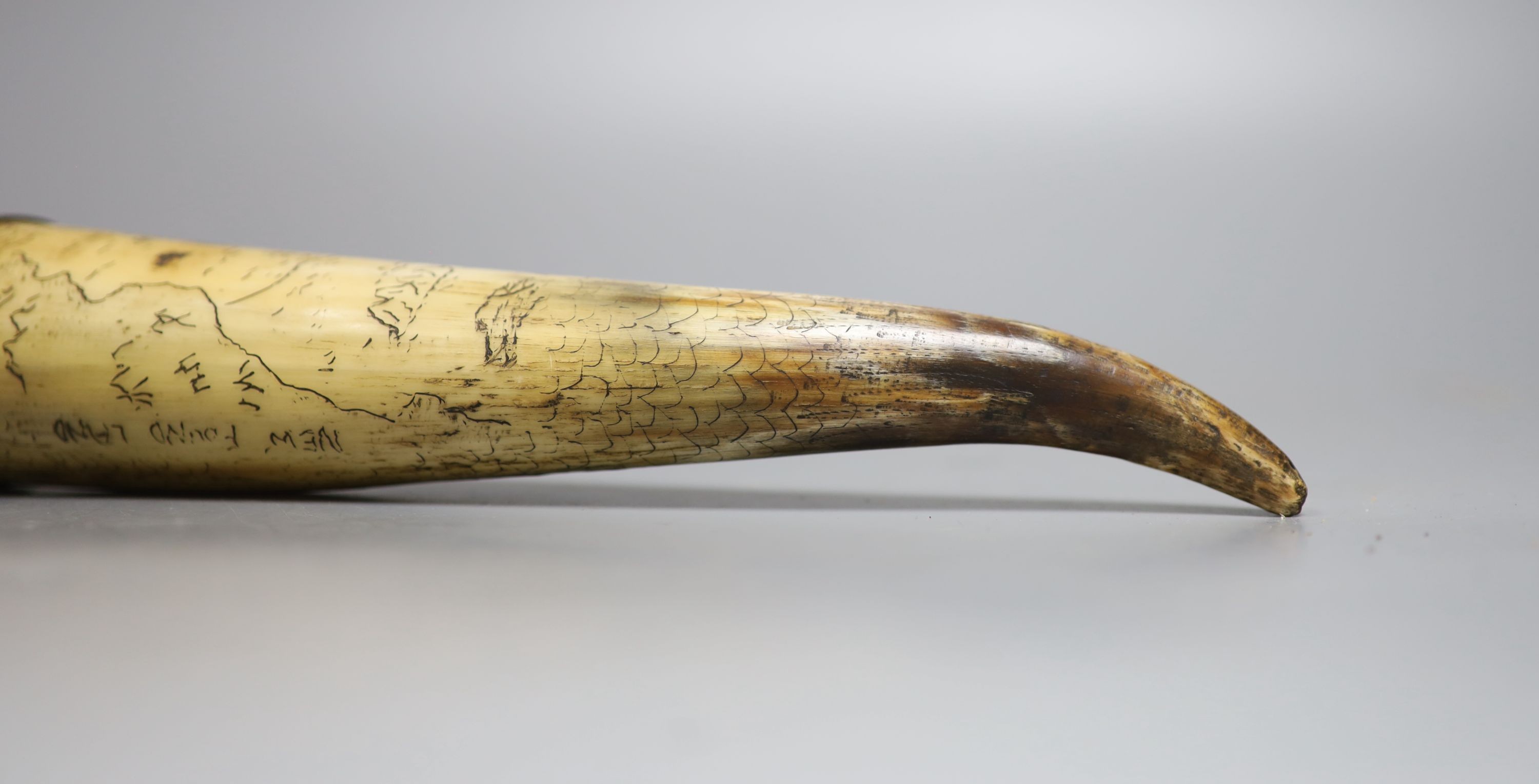 A scrimshaw horn beaker, bearing date 1837, 28cm